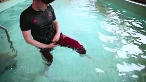 pool-time-in-adidas-gear_4.jpg